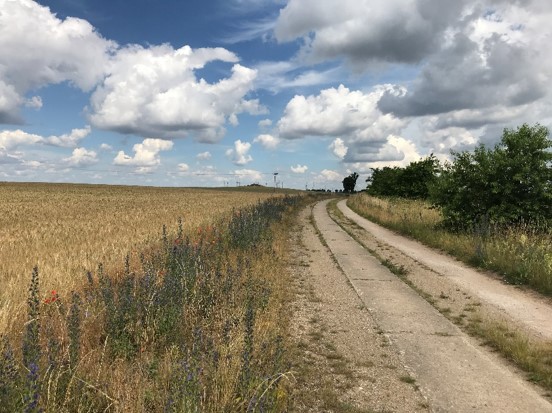 Feldweg Beenz